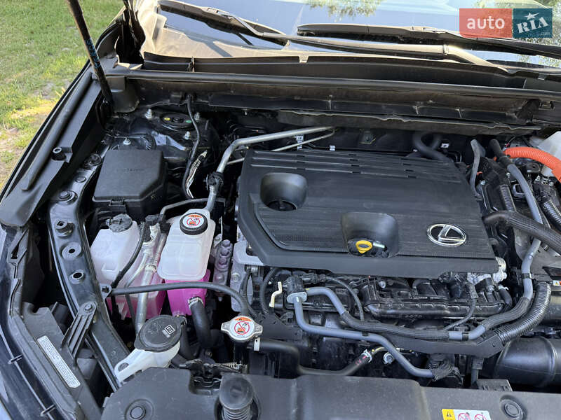 Позашляховик / Кросовер Lexus NX 2023 в Києві