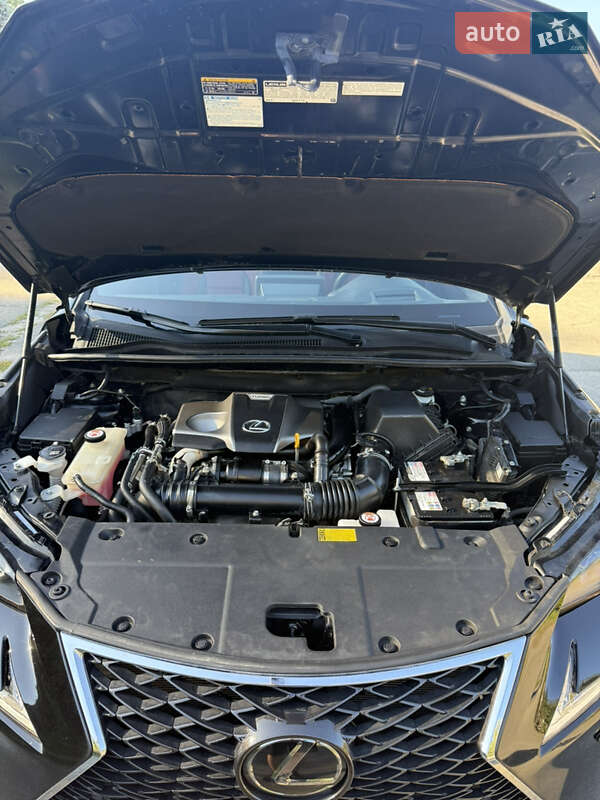 Внедорожник / Кроссовер Lexus NX 2020 в Киеве фото 25 Внедорожник / Кроссовер Lexus NX 2020 в Киеве