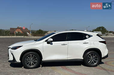 Внедорожник / Кроссовер Lexus NX 2022 в 