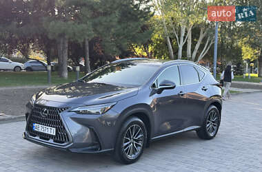 Внедорожник / Кроссовер Lexus NX 2022 в 