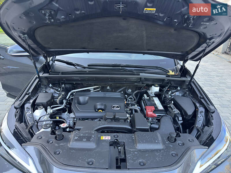 Внедорожник / Кроссовер Lexus NX 2022 в Днепре