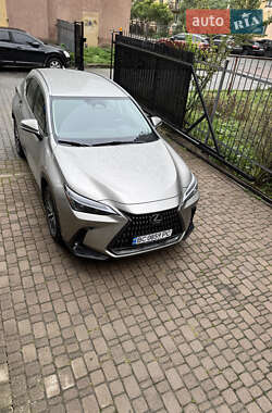 Позашляховик / Кросовер Lexus NX 2022 в 