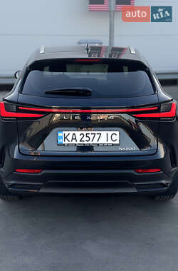 Внедорожник / Кроссовер Lexus NX 2022 в 