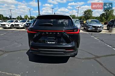 Внедорожник / Кроссовер Lexus NX 2023 в 
