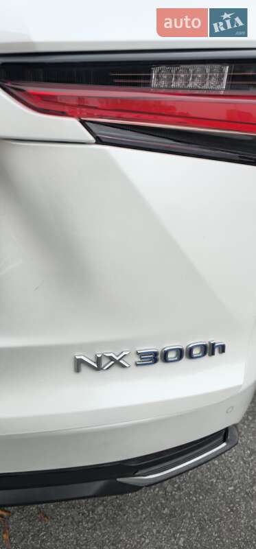 Позашляховик / Кросовер Lexus NX 2020 в Києві