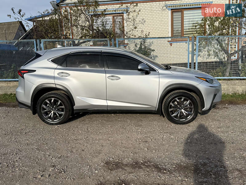 Внедорожник / Кроссовер Lexus NX 2019 в Володарке фото 23 Внедорожник / Кроссовер Lexus NX 2019 в Володарке