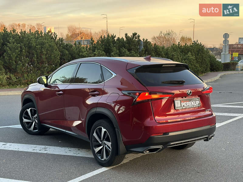 Внедорожник / Кроссовер Lexus NX 2019 в Киеве