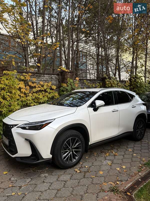 Lexus NX 2022