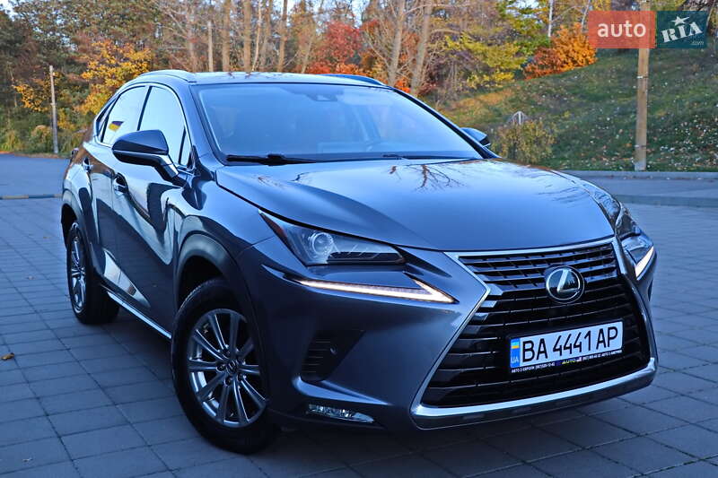 Позашляховик / Кросовер Lexus NX 2020 в Кременчуці фото 35 Позашляховик / Кросовер Lexus NX 2020 в Кременчуці