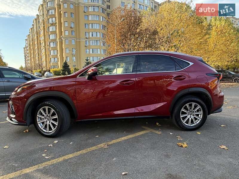 Позашляховик / Кросовер Lexus NX 2020 в Києві