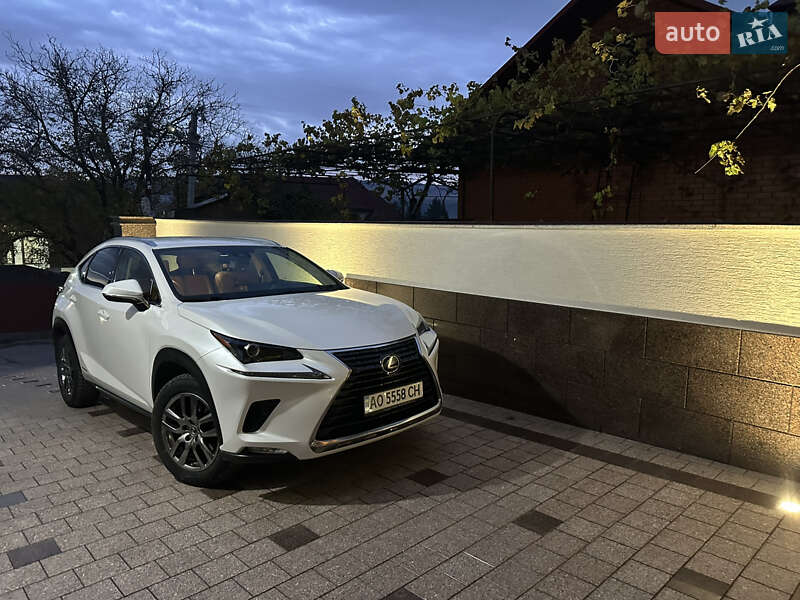 Позашляховик / Кросовер Lexus NX 2021 в Тячеві фото 21 Позашляховик / Кросовер Lexus NX 2021 в Тячеві