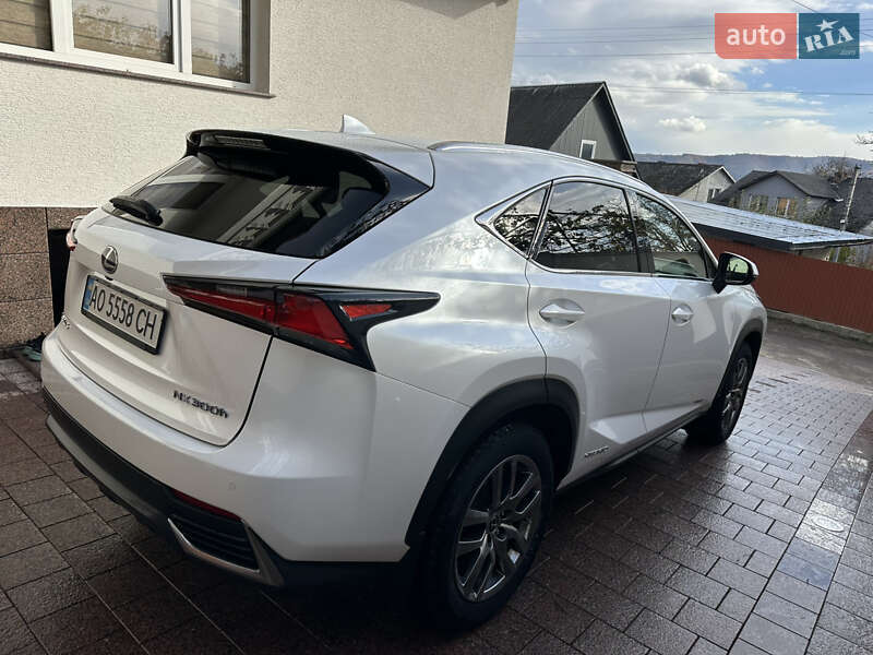 Позашляховик / Кросовер Lexus NX 2021 в Тячеві фото 62 Позашляховик / Кросовер Lexus NX 2021 в Тячеві