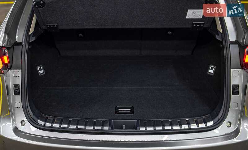 Позашляховик / Кросовер Lexus NX 2020 в Чернівцях