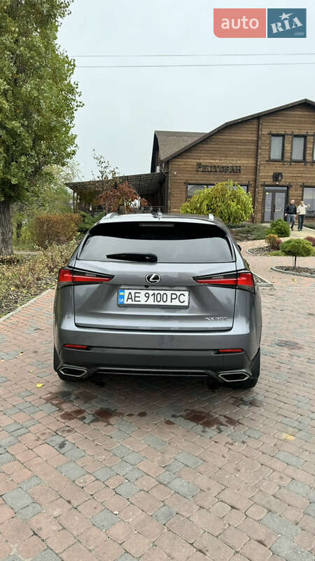 Позашляховик / Кросовер Lexus NX 2020 в Павлограді фото 13 Позашляховик / Кросовер Lexus NX 2020 в Павлограді