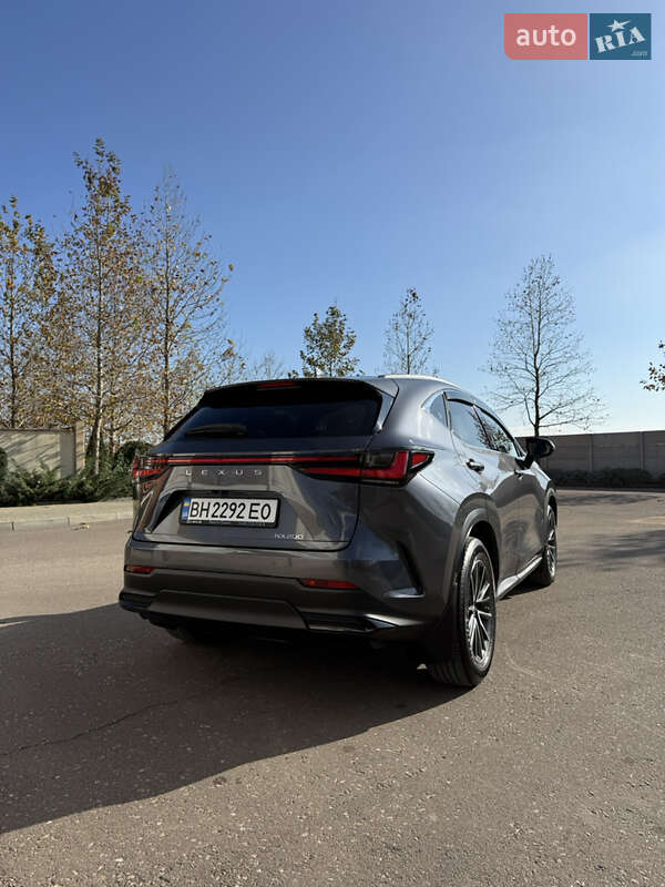 Внедорожник / Кроссовер Lexus NX 2022 в Одессе