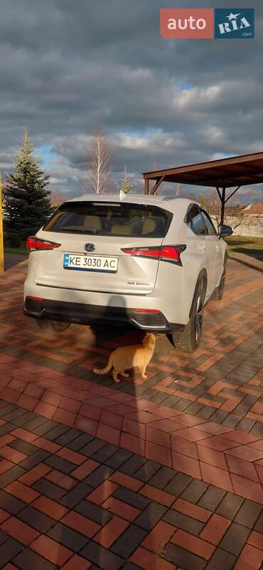 Позашляховик / Кросовер Lexus NX 2021 в Кривому Розі