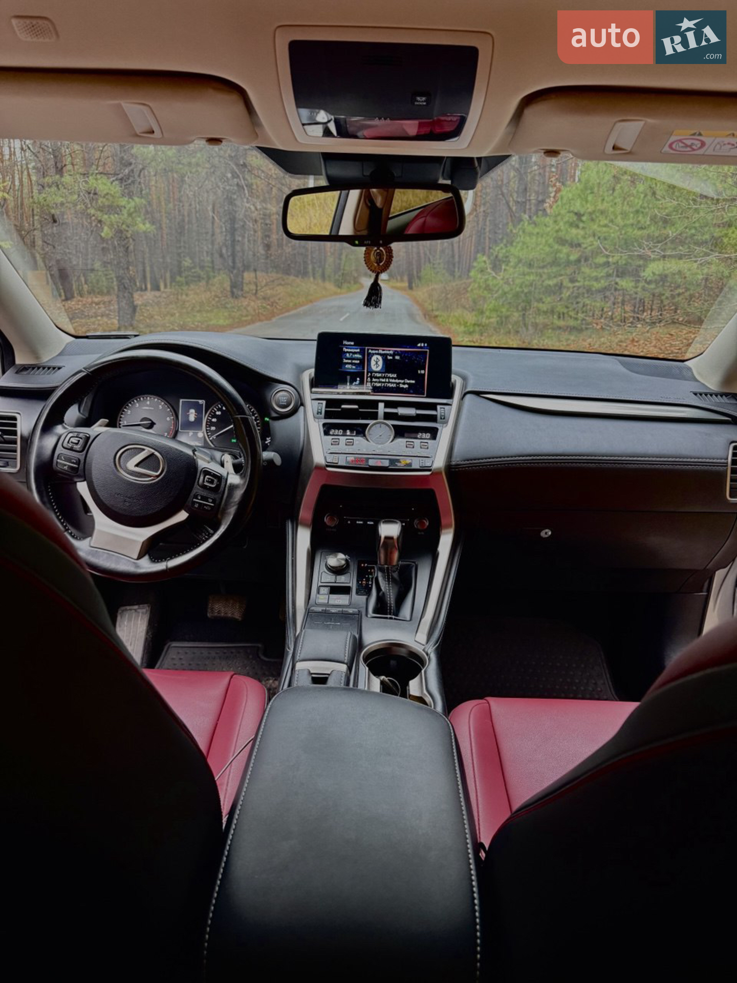2020 Lexus NX - мініатюра 2