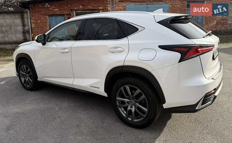 Позашляховик / Кросовер Lexus NX 2019 в Чернігові фото 15 Позашляховик / Кросовер Lexus NX 2019 в Чернігові