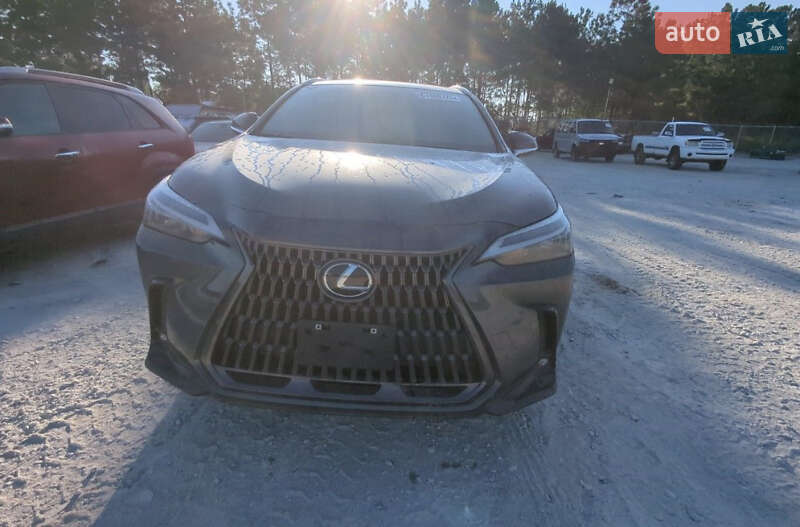 Позашляховик / Кросовер Lexus NX 2022 в Ізмаїлі