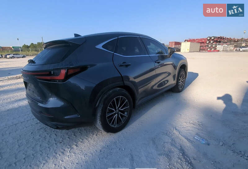 Позашляховик / Кросовер Lexus NX 2022 в Ізмаїлі