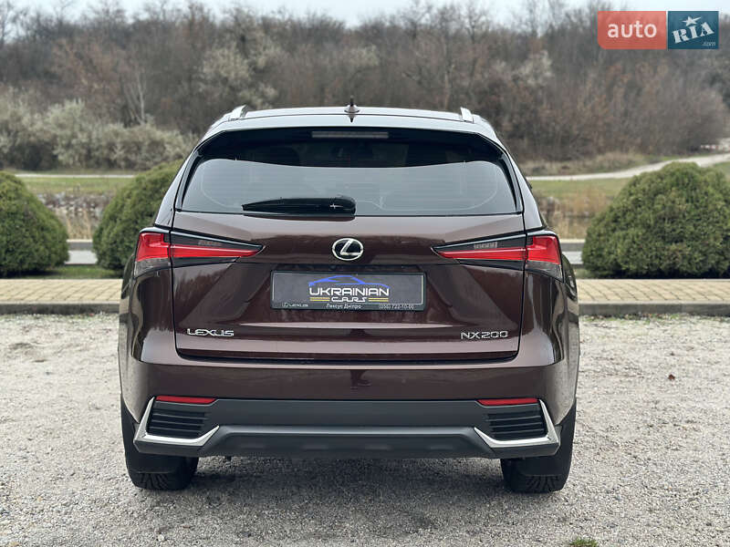 Внедорожник / Кроссовер Lexus NX 2019 в Днепре фото 11 Внедорожник / Кроссовер Lexus NX 2019 в Днепре