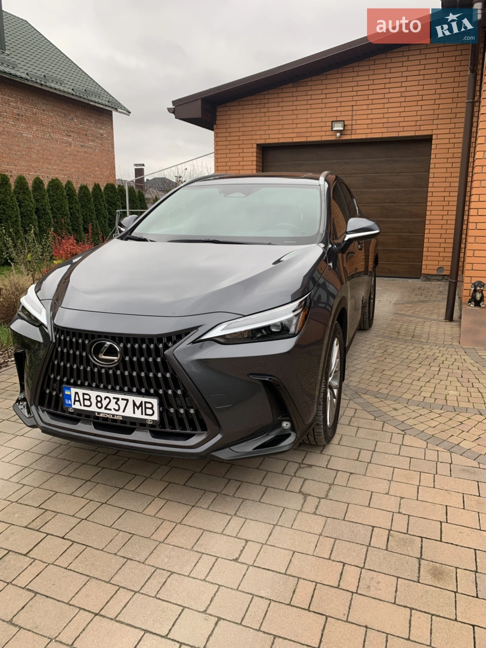 2023 Lexus NX - мініатюра 19
