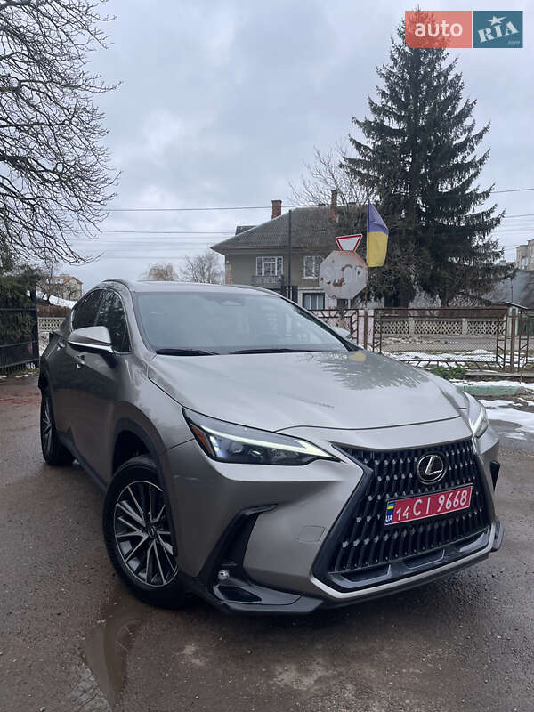 Внедорожник / Кроссовер Lexus NX 2023 в Самборе фото Внедорожник / Кроссовер Lexus NX 2023 в Самборе