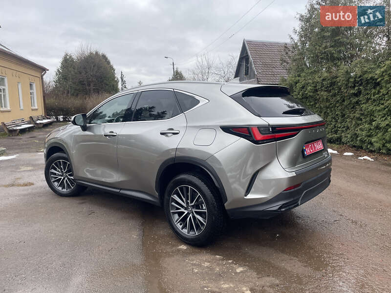Внедорожник / Кроссовер Lexus NX 2023 в Самборе фото 8 Внедорожник / Кроссовер Lexus NX 2023 в Самборе