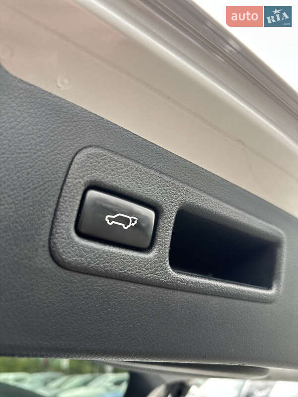 Внедорожник / Кроссовер Lexus NX 2017 в Белогородке фото 17 Внедорожник / Кроссовер Lexus NX 2017 в Белогородке