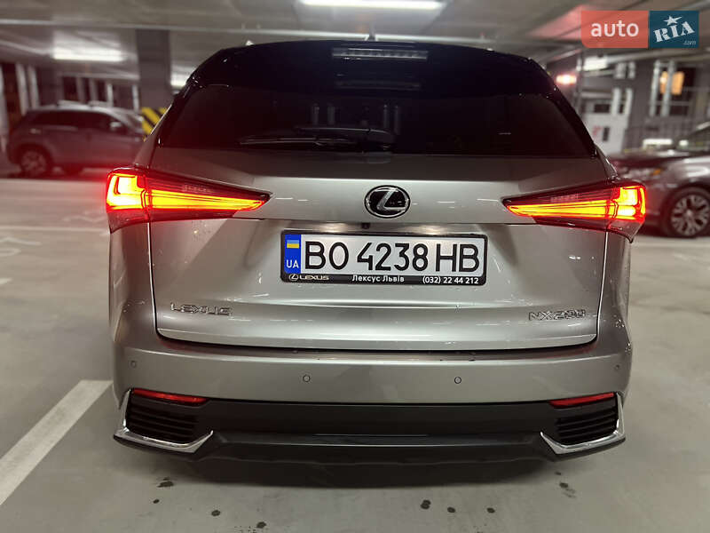 Внедорожник / Кроссовер Lexus NX 2020 в Киеве фото 22 Внедорожник / Кроссовер Lexus NX 2020 в Киеве