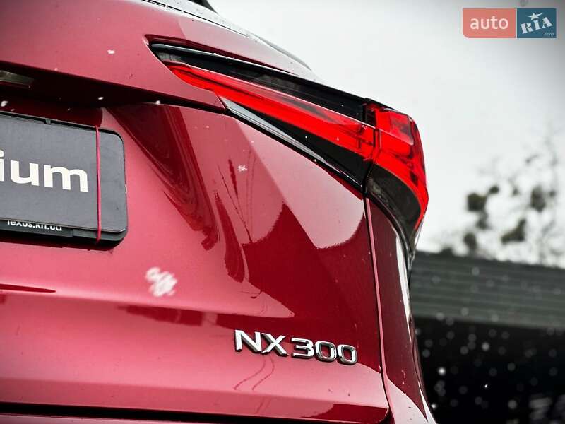 Внедорожник / Кроссовер Lexus NX 2017 в Киеве фото 17 Внедорожник / Кроссовер Lexus NX 2017 в Киеве