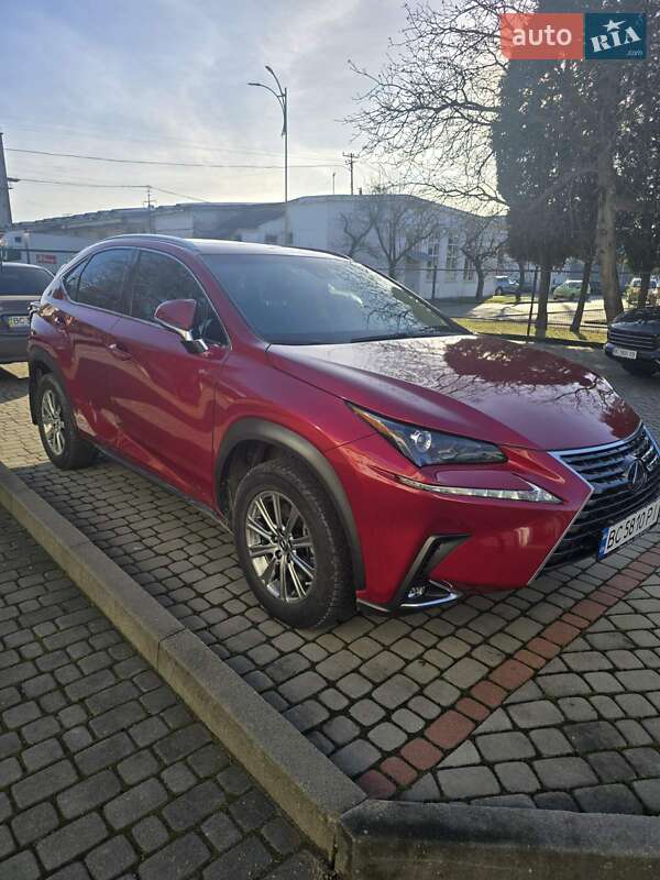 Внедорожник / Кроссовер Lexus NX 2020 в Львове фото Внедорожник / Кроссовер Lexus NX 2020 в Львове