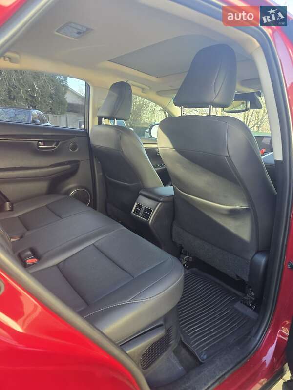 Внедорожник / Кроссовер Lexus NX 2020 в Львове фото 4 Внедорожник / Кроссовер Lexus NX 2020 в Львове