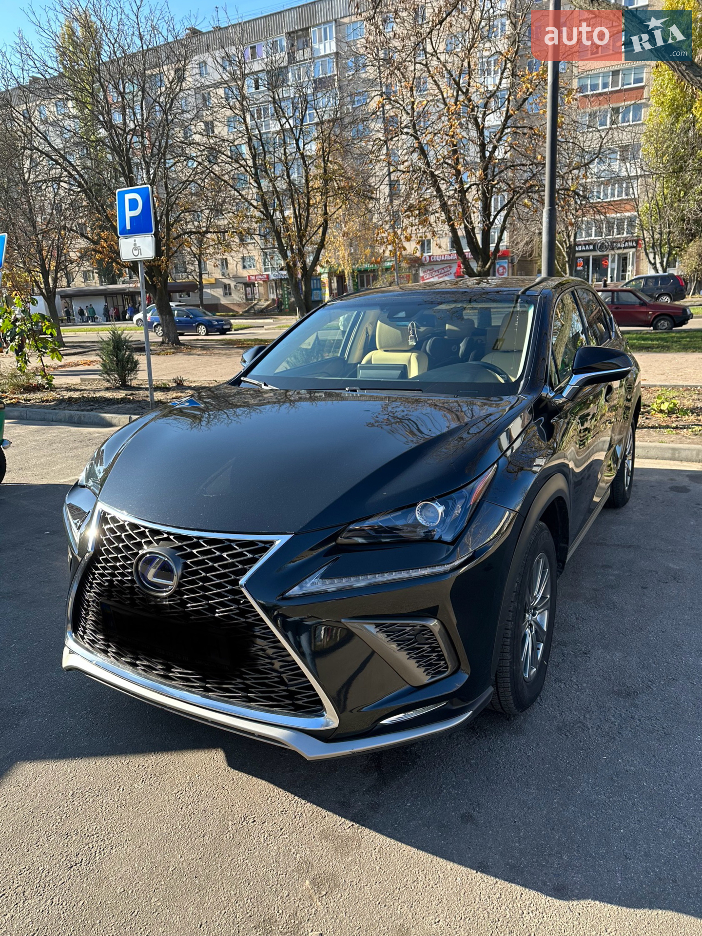 2019 Lexus NX - мініатюра 4