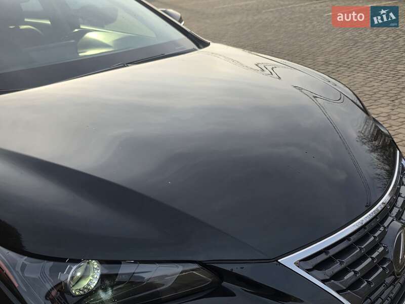 Позашляховик / Кросовер Lexus NX 2018 в Івано-Франківську