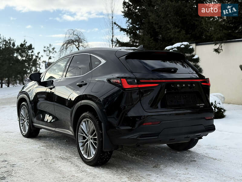 Внедорожник / Кроссовер Lexus NX 2022 в Львове фото 14 Внедорожник / Кроссовер Lexus NX 2022 в Львове