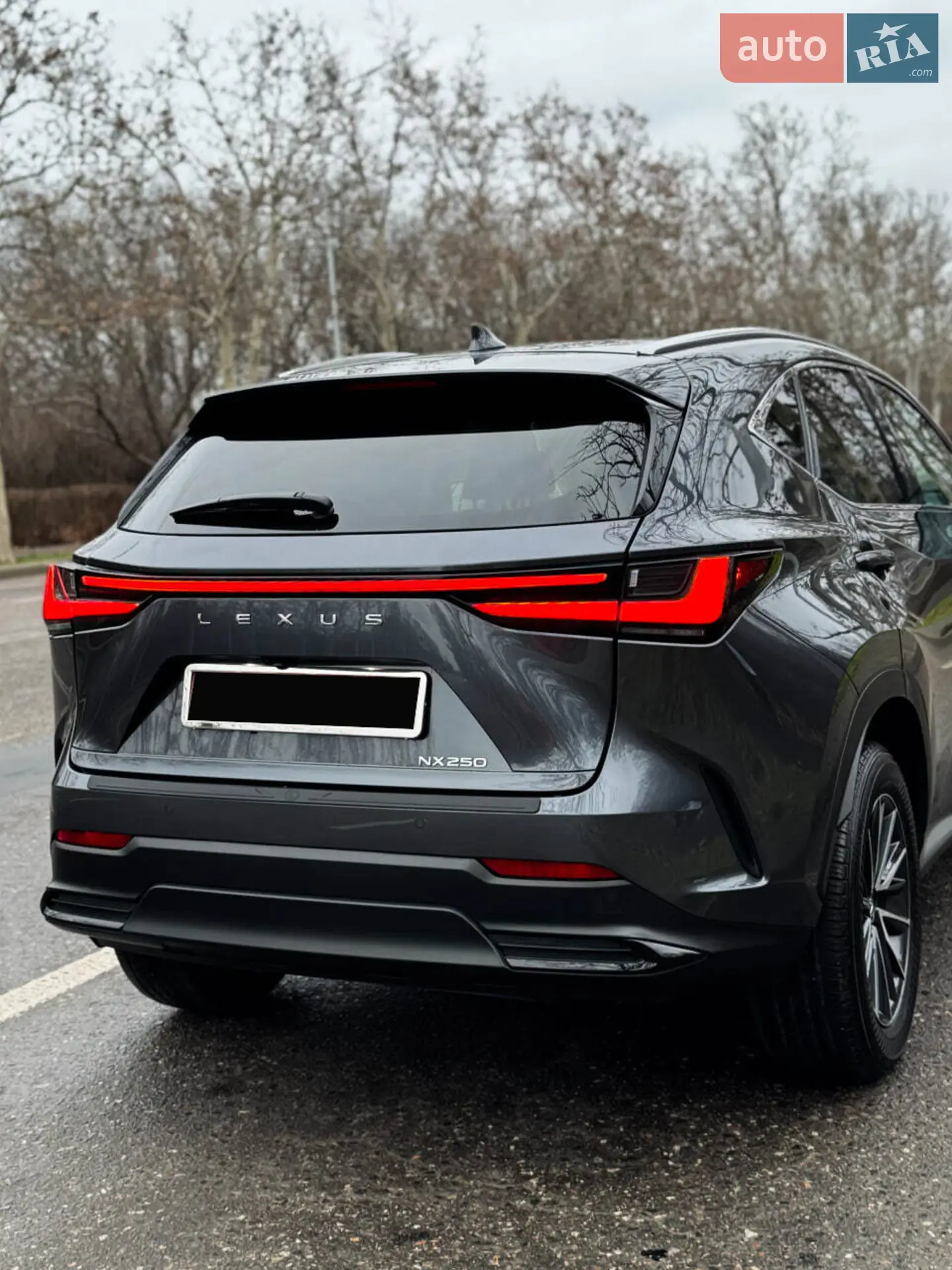 2023 Lexus NX - мініатюра 7
