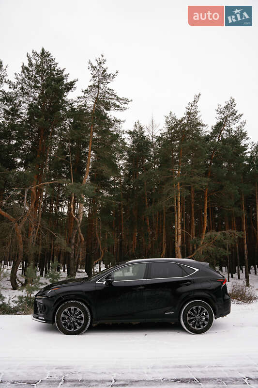 Позашляховик / Кросовер Lexus NX 2020 в Кременчуці фото 2 Позашляховик / Кросовер Lexus NX 2020 в Кременчуці