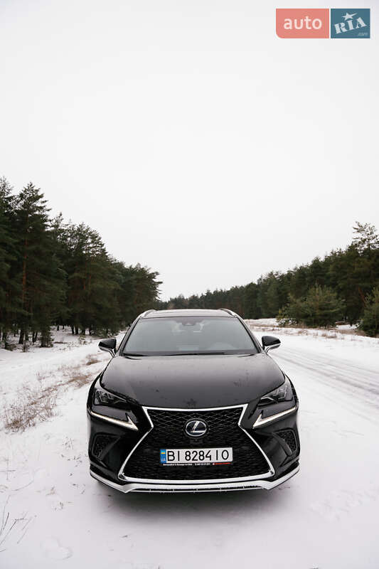 Позашляховик / Кросовер Lexus NX 2020 в Кременчуці фото 8 Позашляховик / Кросовер Lexus NX 2020 в Кременчуці