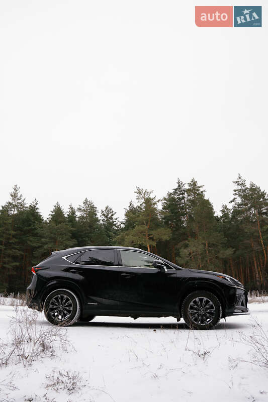 Позашляховик / Кросовер Lexus NX 2020 в Кременчуці фото 11 Позашляховик / Кросовер Lexus NX 2020 в Кременчуці