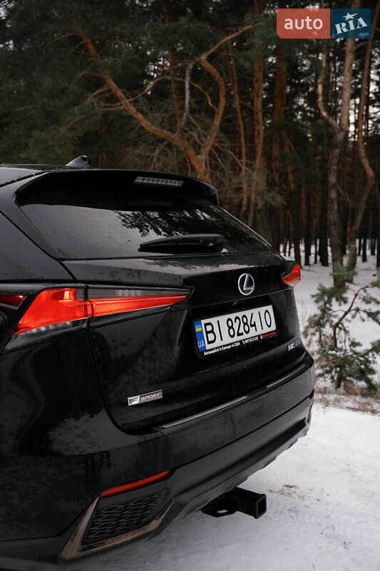 Позашляховик / Кросовер Lexus NX 2020 в Кременчуці фото 16 Позашляховик / Кросовер Lexus NX 2020 в Кременчуці