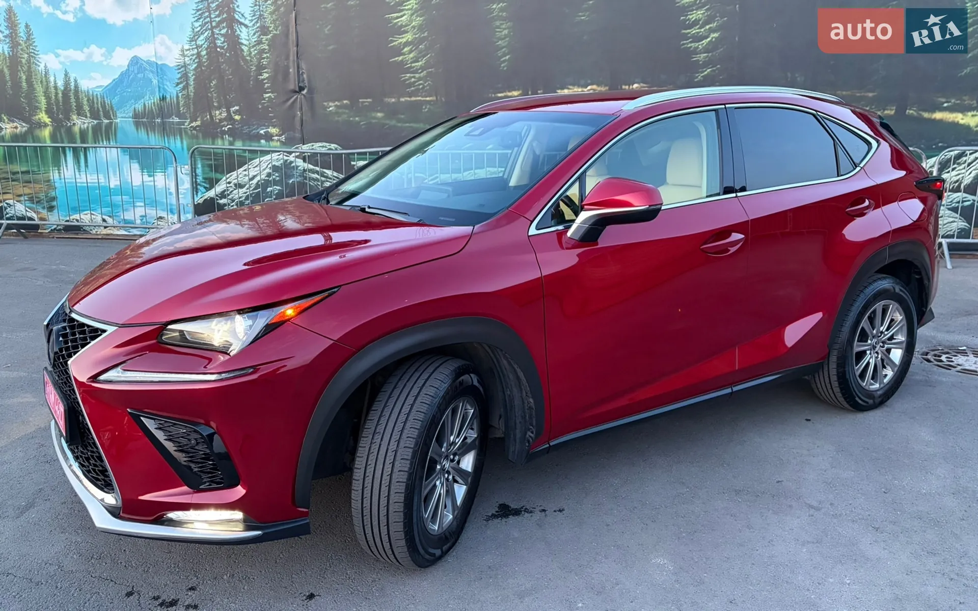 2020 Lexus NX - мініатюра 2