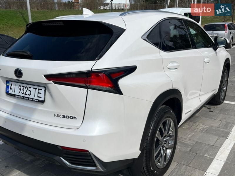 Позашляховик / Кросовер Lexus NX 2020 в Києві