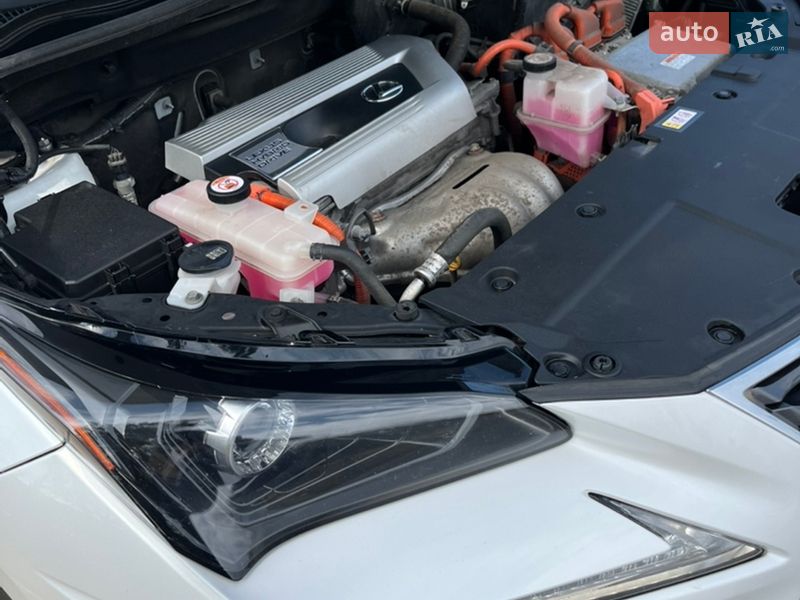 Позашляховик / Кросовер Lexus NX 2020 в Києві