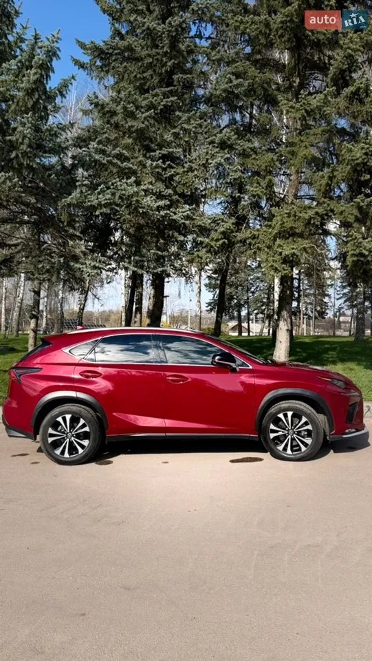 2019 Lexus NX - мініатюра 12