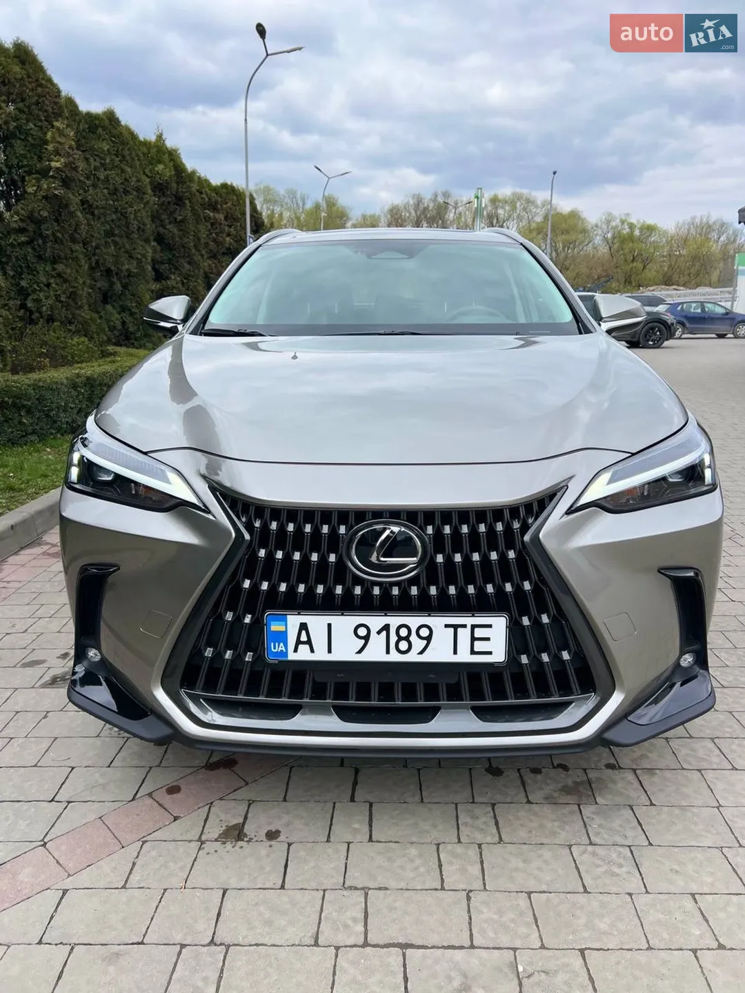 2024 Lexus NX - мініатюра 8