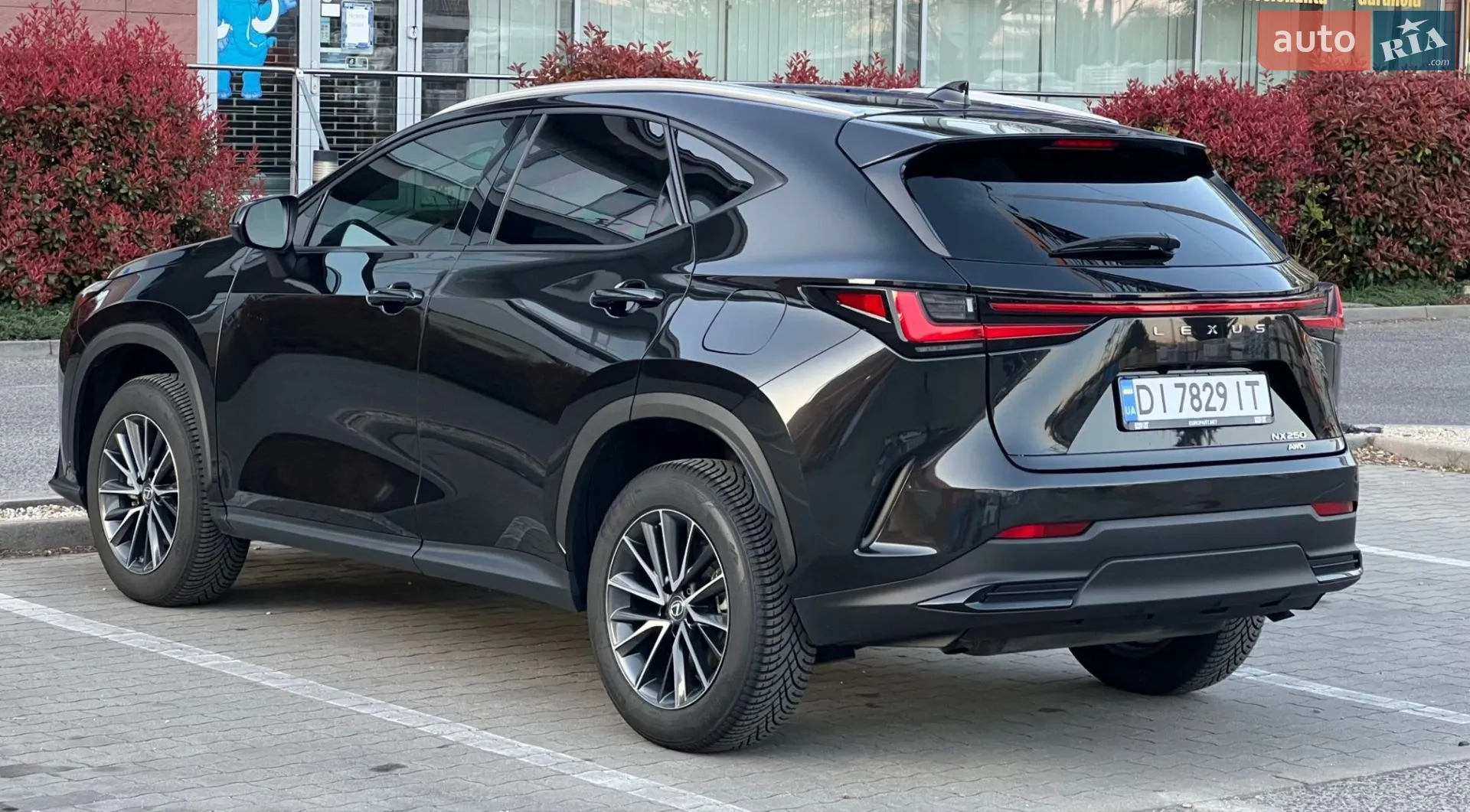 2023 Lexus NX - мініатюра 17