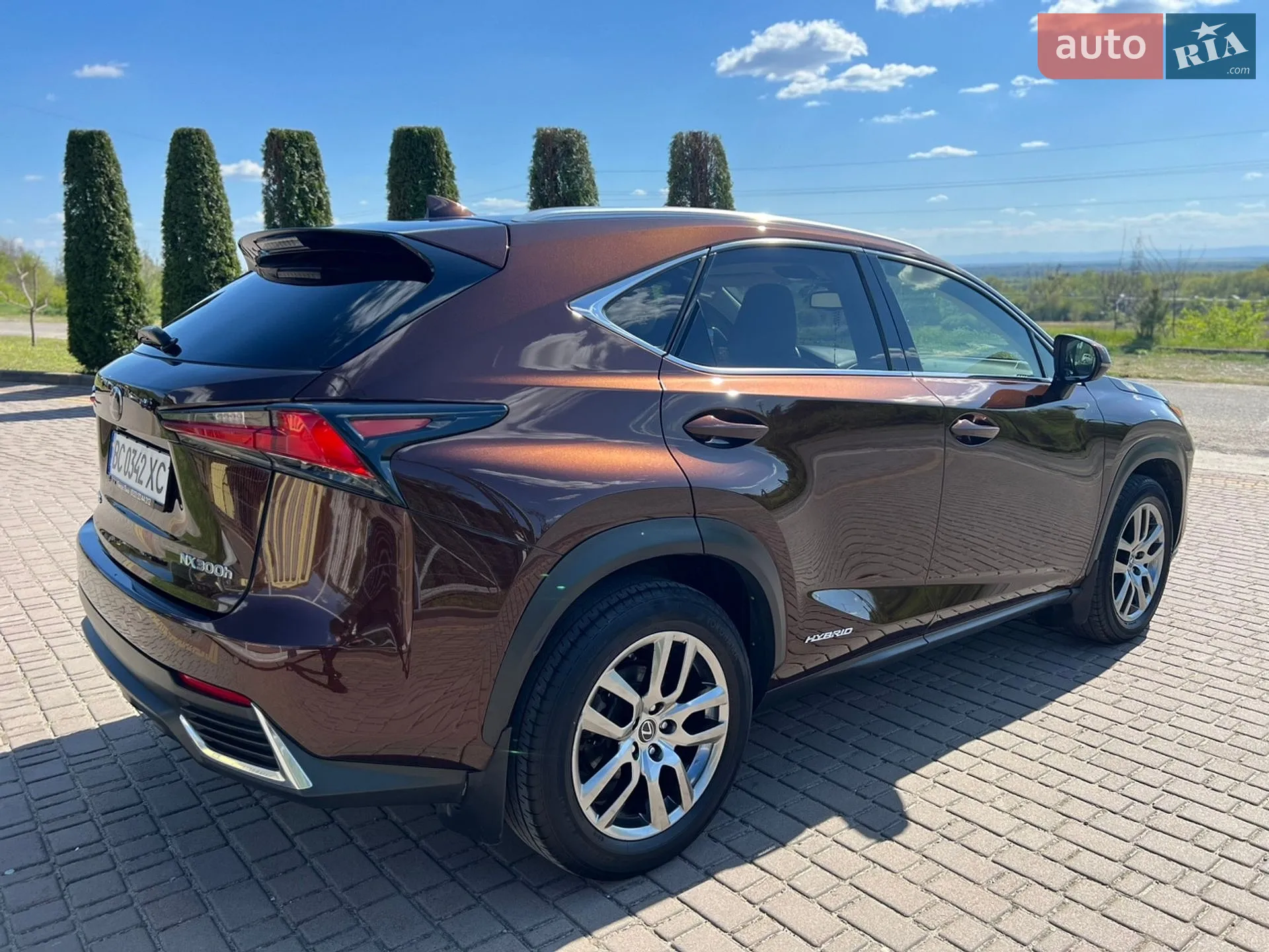 2019 Lexus NX - мініатюра 8
