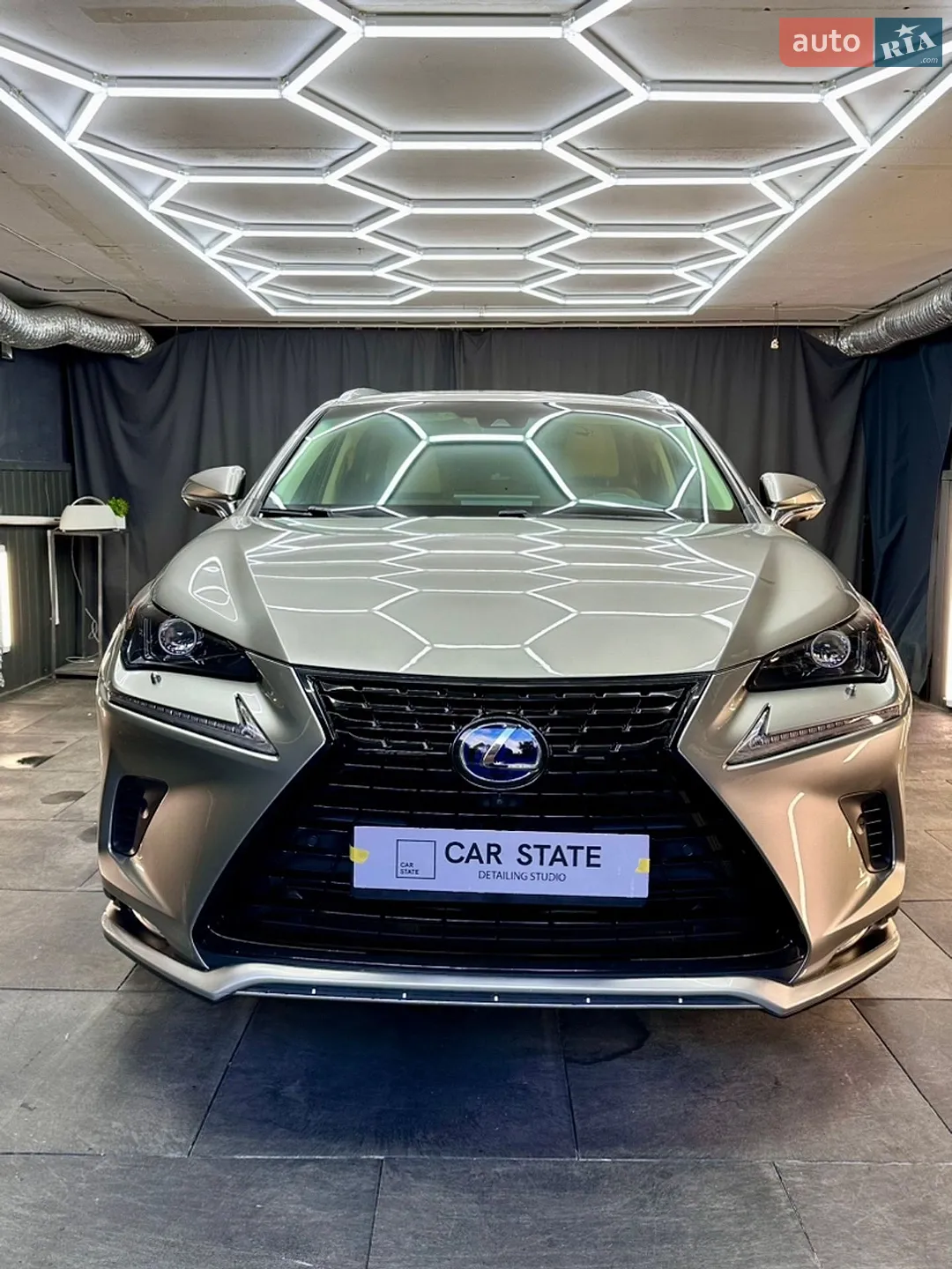 2019 Lexus NX - мініатюра 2