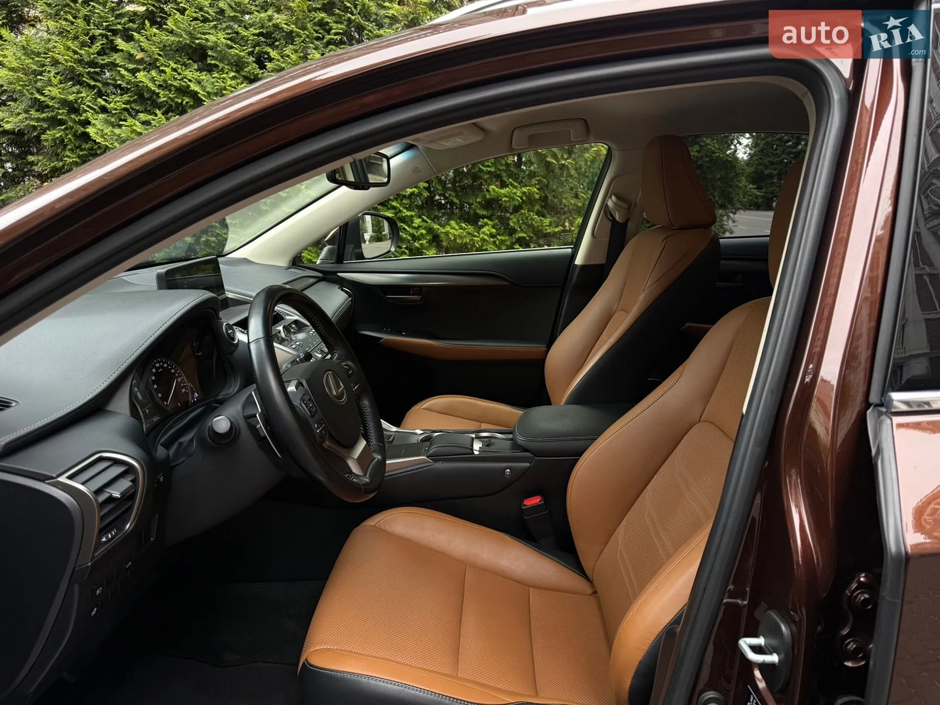 2018 Lexus NX - мініатюра 17